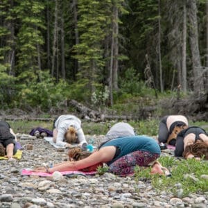 Stretch & Flow